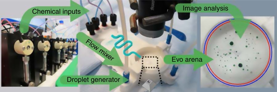 3D-Printed System