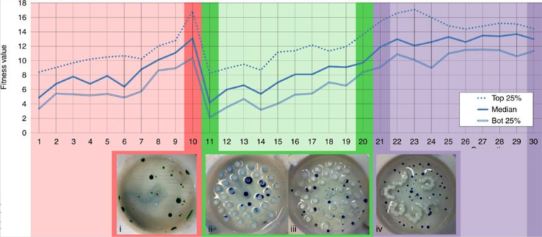 Environmental Change Results