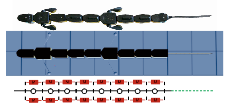 Model Visualization