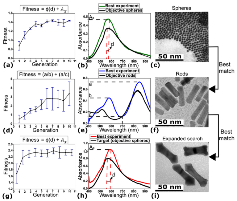 Gold Nanoparticles Evolution