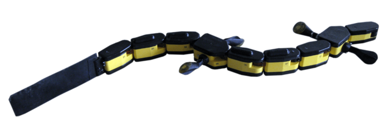 The salamander robot used in this work
